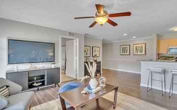 Ceiling fans